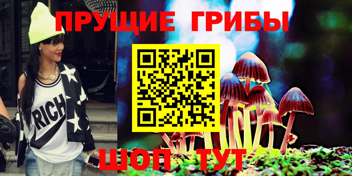 Псилоцибиновые грибы прущие грибы  Вход с VPN  что такое   Искитим  Псилоцибиновые грибы Psilocybe 